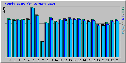 Hourly usage for January 2014