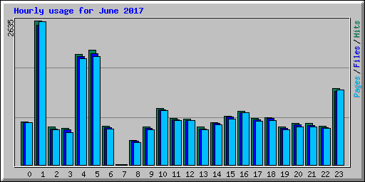 Hourly usage for June 2017