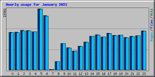 Hourly usage for January 2021