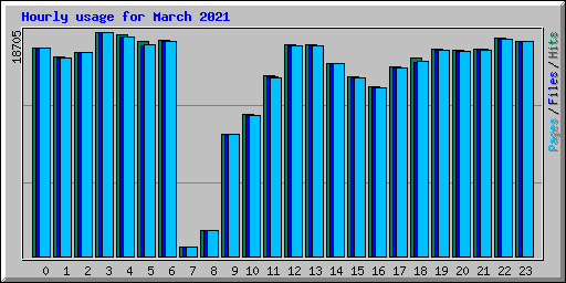 Hourly usage for March 2021
