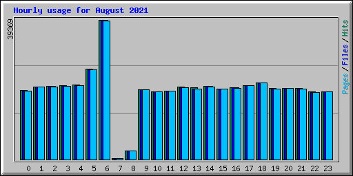 Hourly usage for August 2021