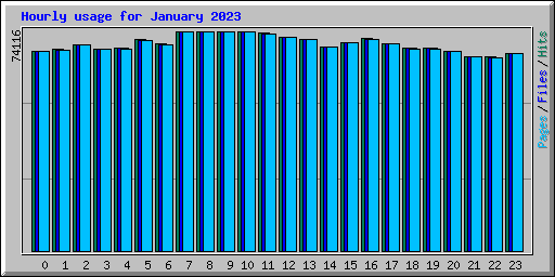 Hourly usage for January 2023