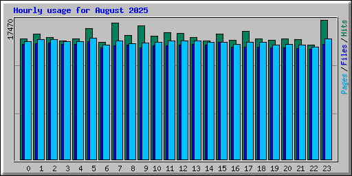 Hourly usage for August 2025