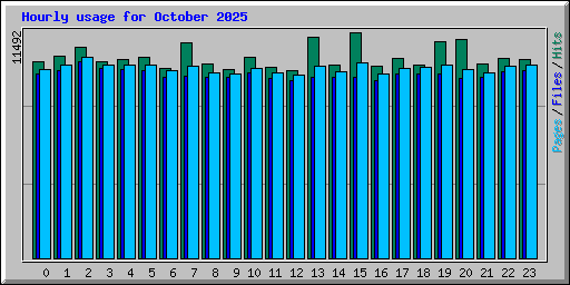 Hourly usage for October 2025