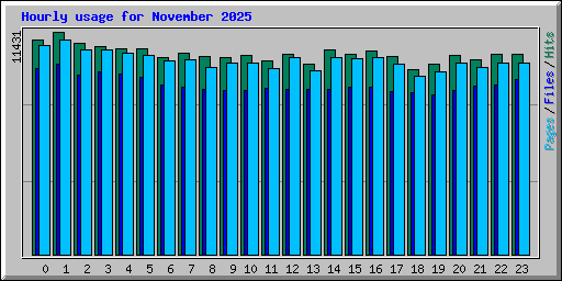 Hourly usage for November 2025